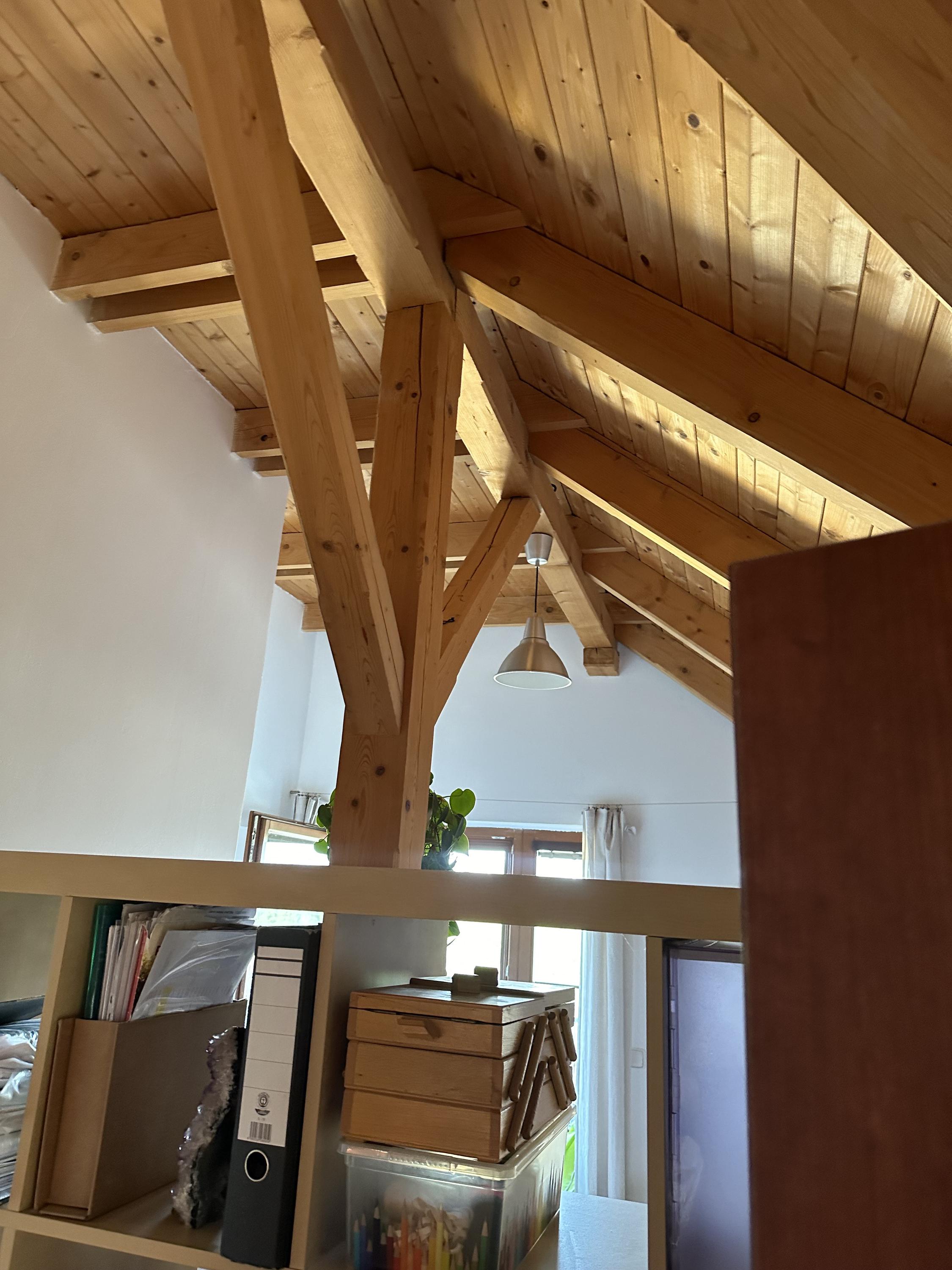 David Kocián - Ochrana dřeva a impregnace foto 6