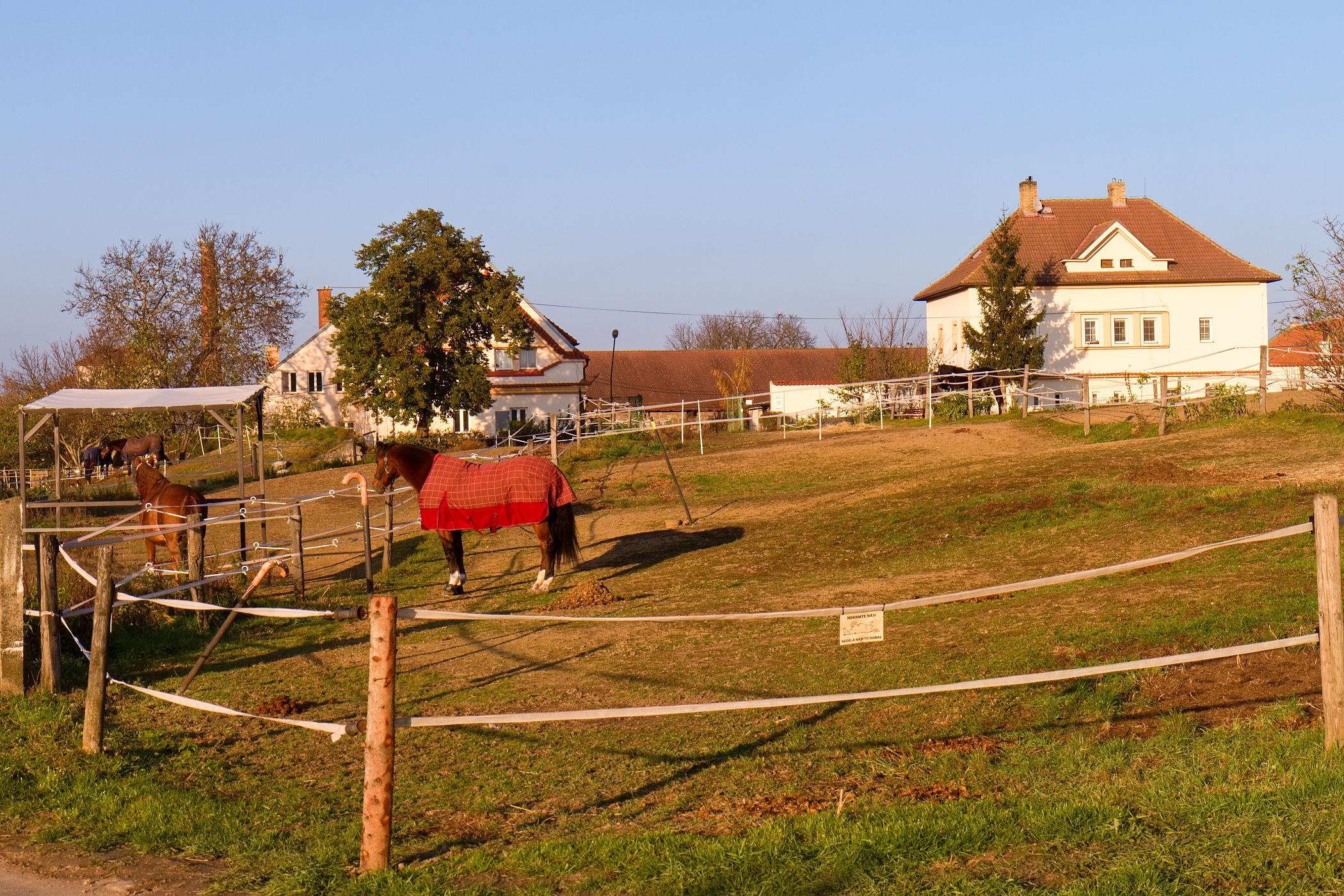 Jezdecký klub Výzkumného ústavu živočišné výroby Uhříněves foto 6