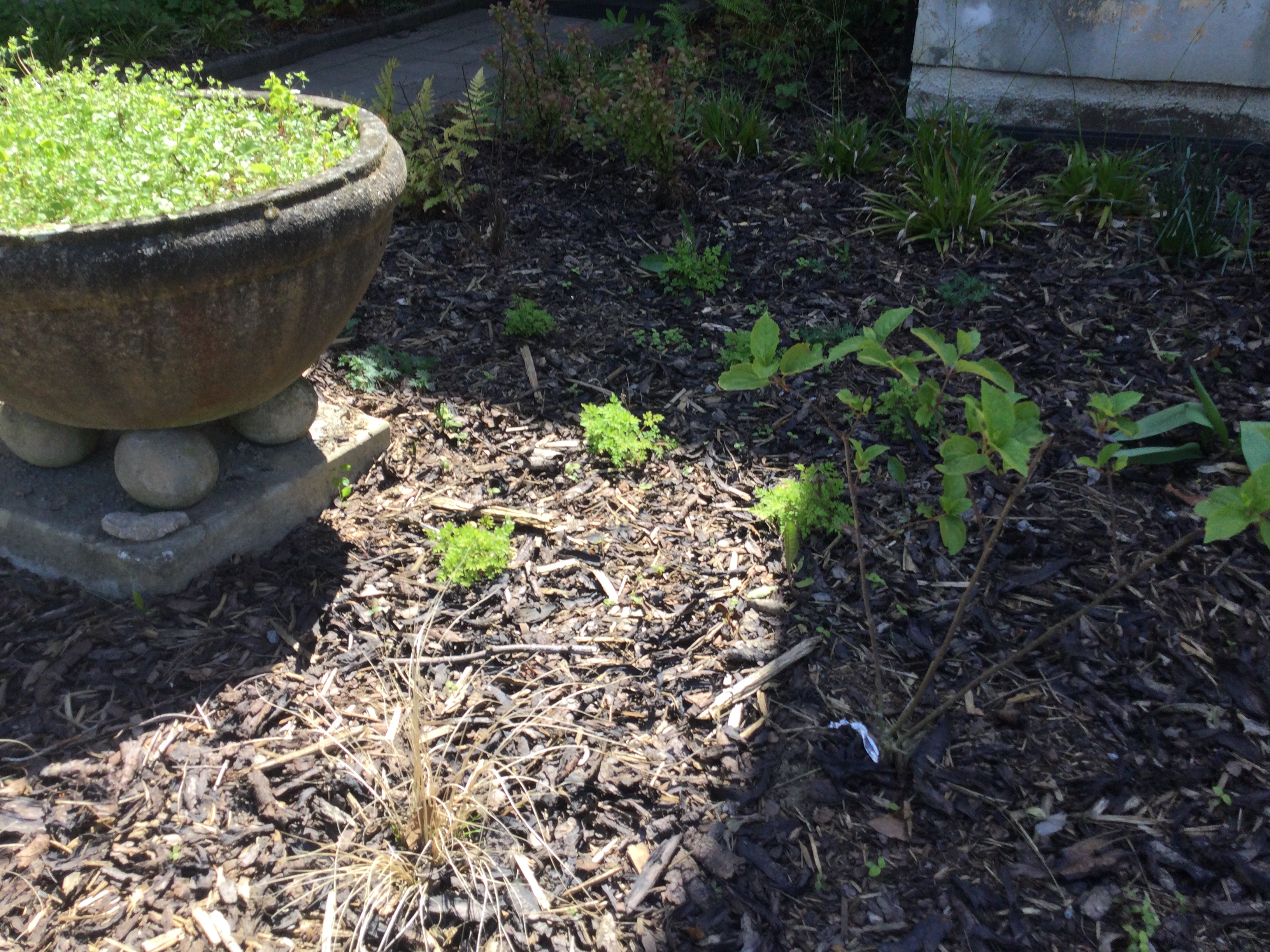 Základní škola Five Star Montessori, s.r.o. foto 4