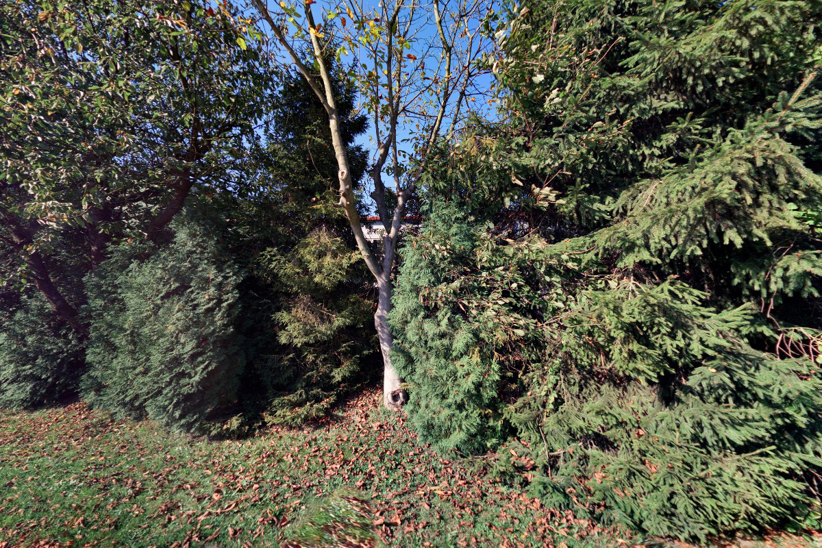 ZAHRADY R+R - realizace a údržba zahrad, s.r.o. foto 5