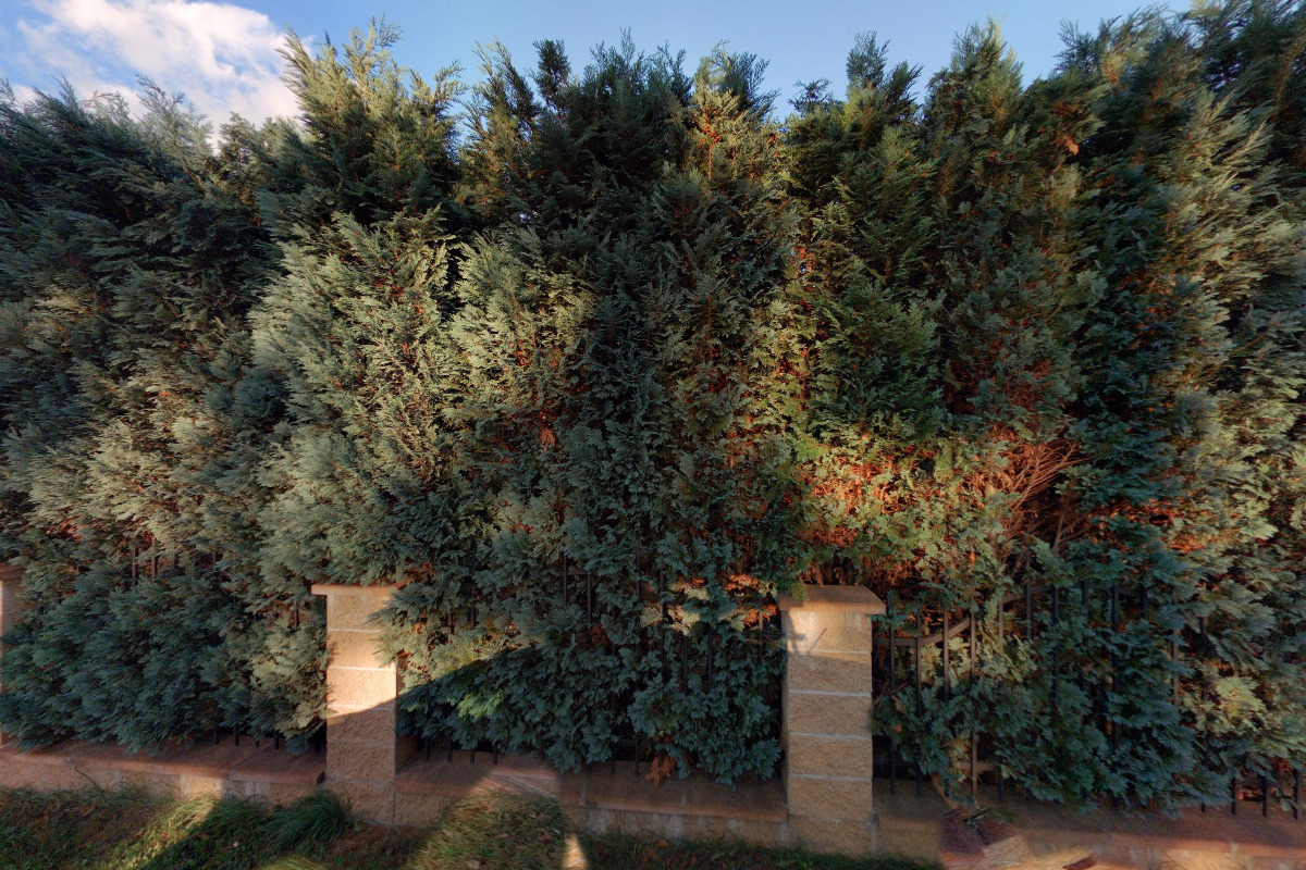 Martin Grygar - veteran moto