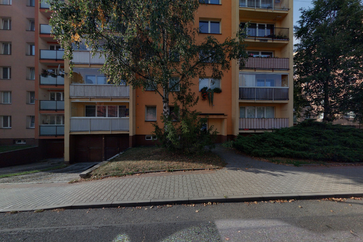 STROMOLEZCI Frýdek-Místek foto 5