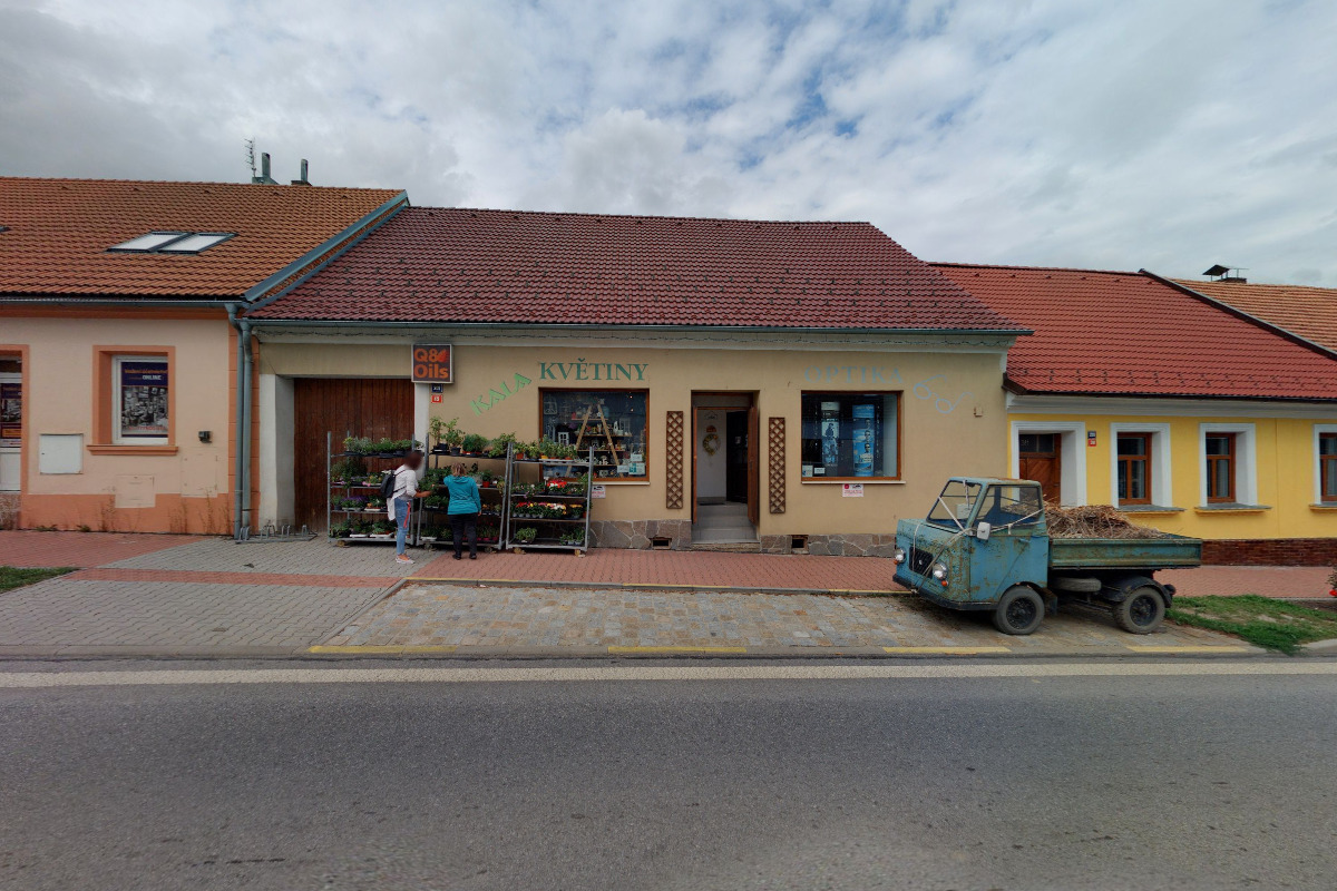 Květiny Kala foto 2