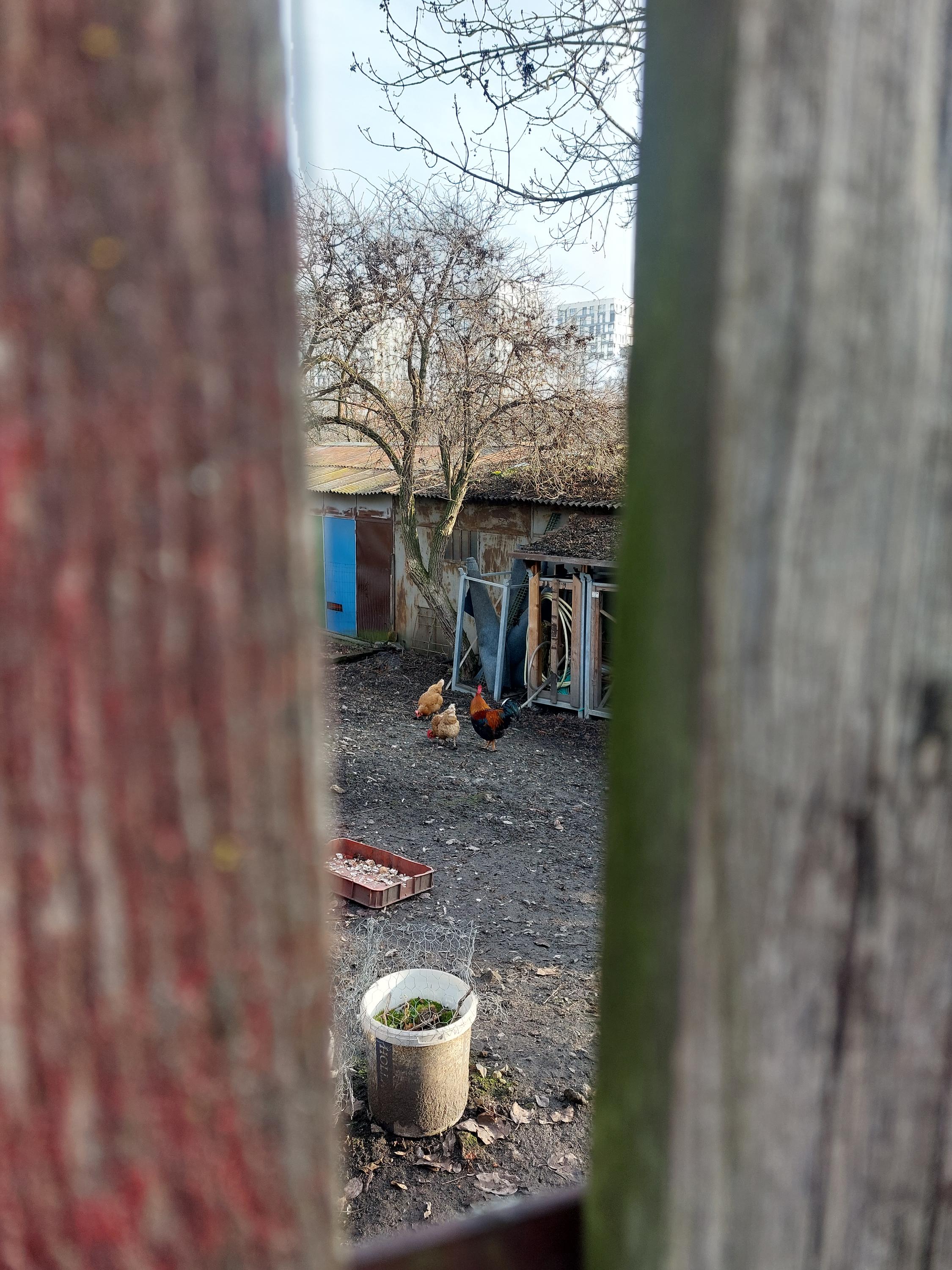 Junák - český skaut, okres Praha 3, z. s. foto 3