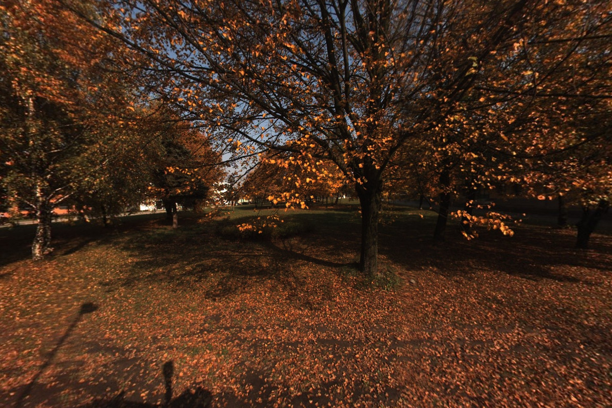 Vysoká škola báňská - Technická univerzita Ostrava - Katedra účetnictví a daní Ekonomické fakulty