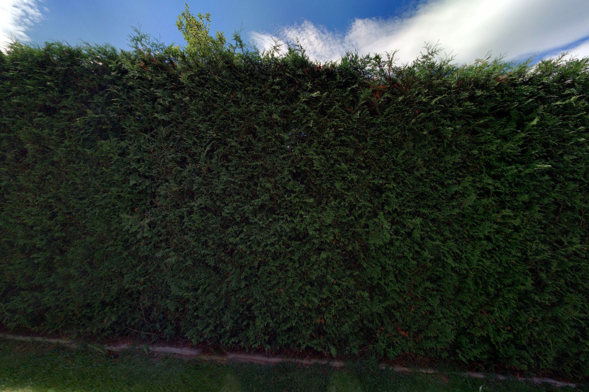 Českomoravský svaz chovatelů poštovních holubů - Místní spolek 010 Volyně