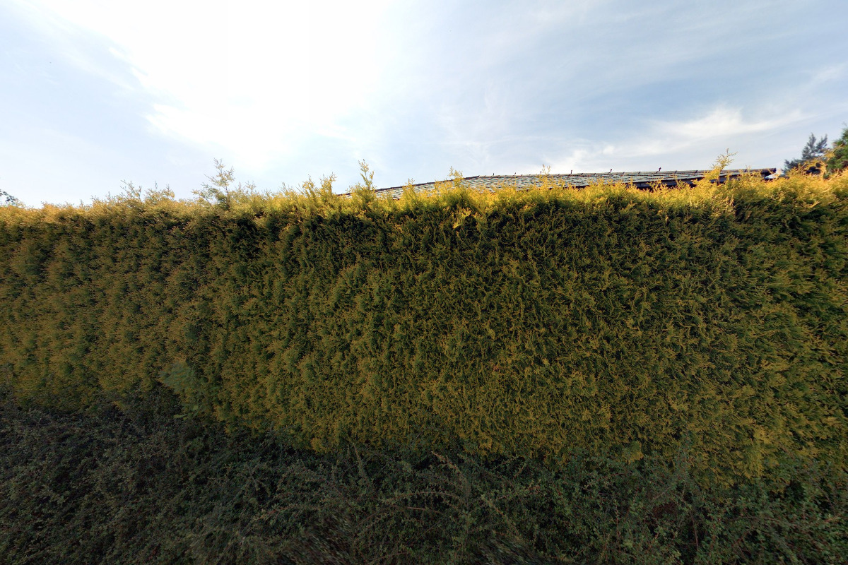 TOMSAT Tomáš Müller