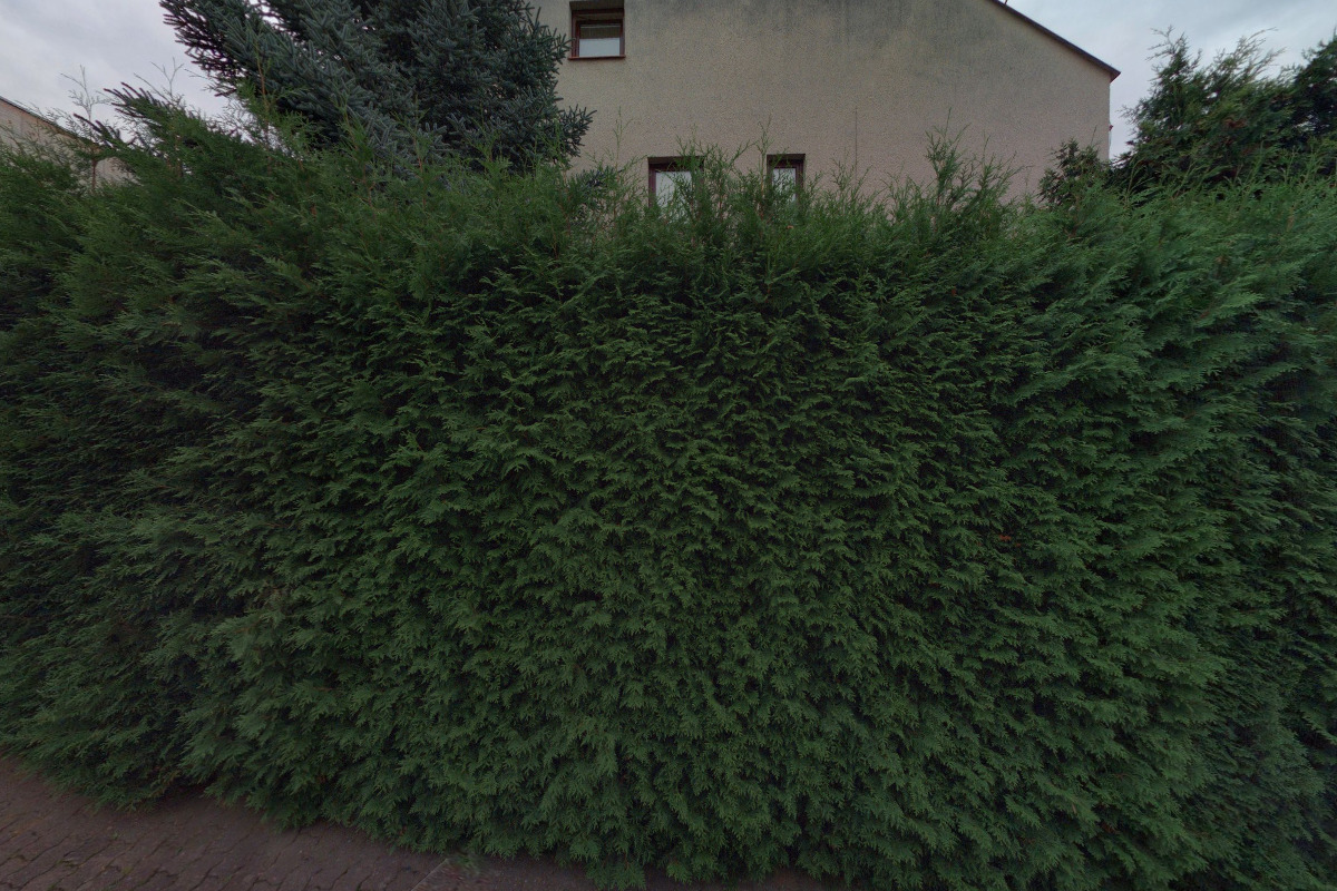 Mgr. Josef Welser foto 1