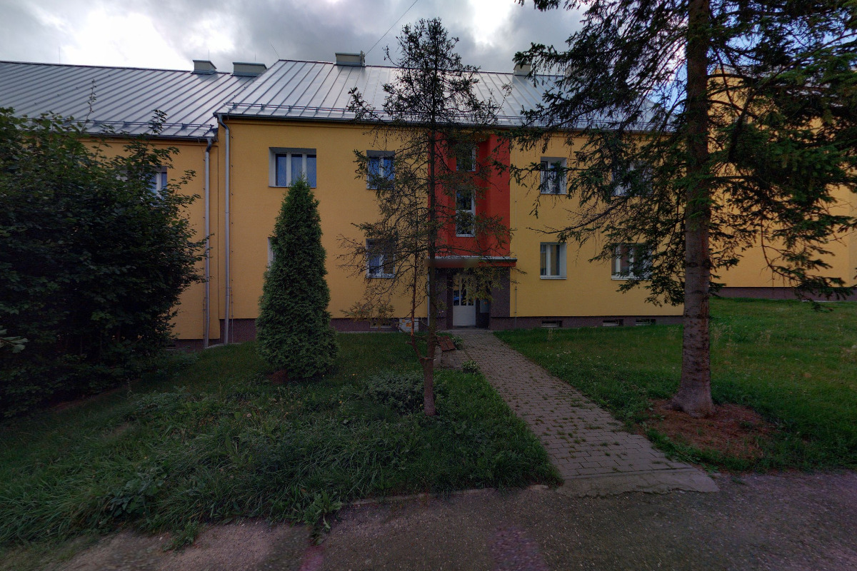 Servisplyn, Igor Zedník