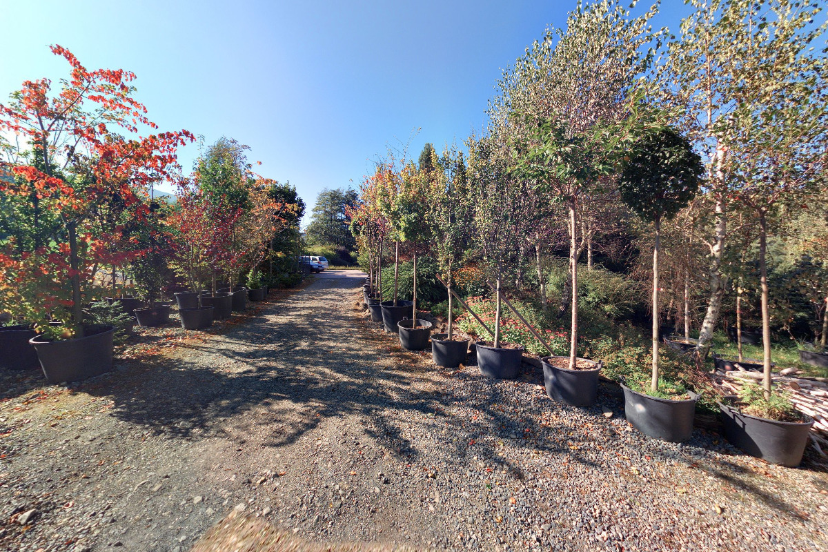 Kineziologie Martina Jandačková