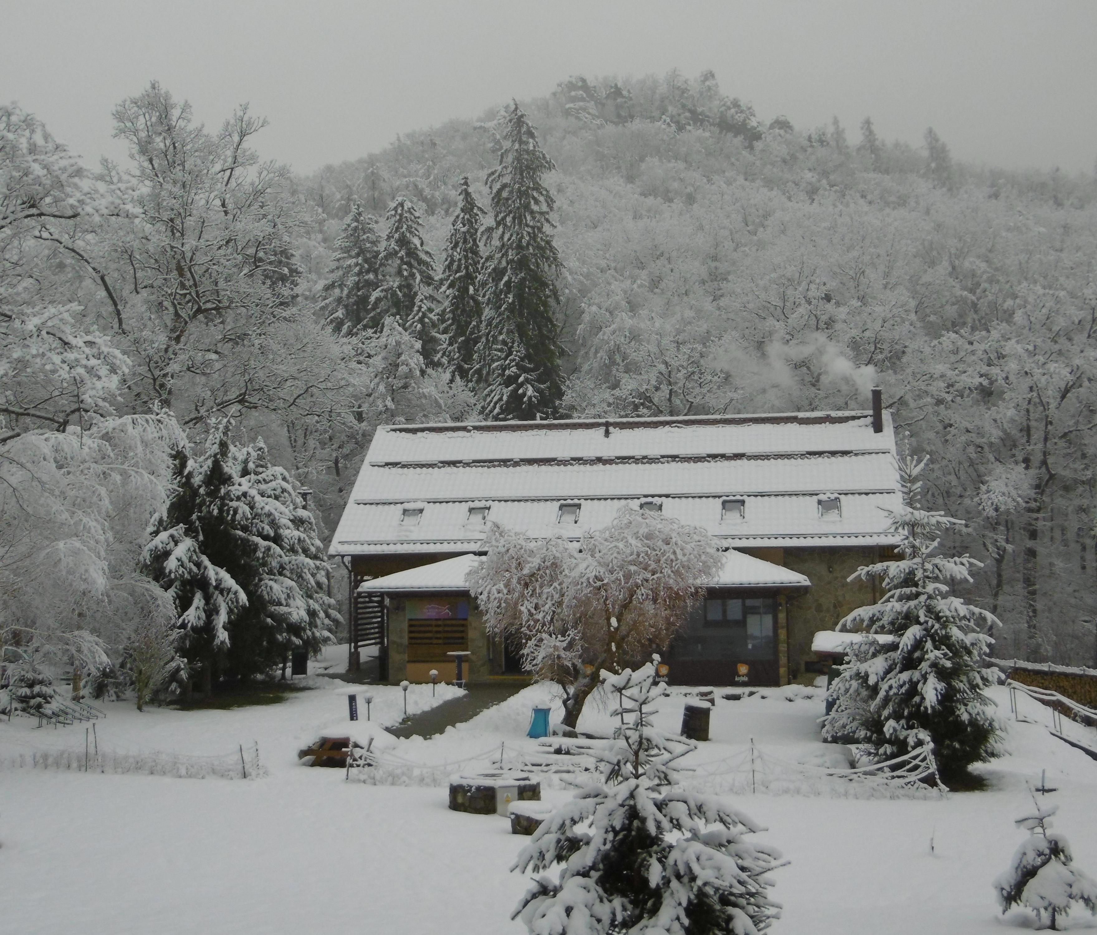 Penzion Pod Břesteckou skalou - Restaurace