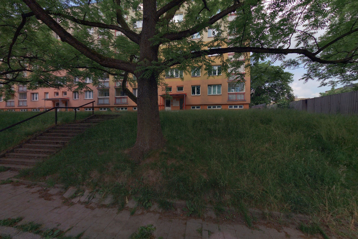 SPINREAL - Petr Heisig foto 3