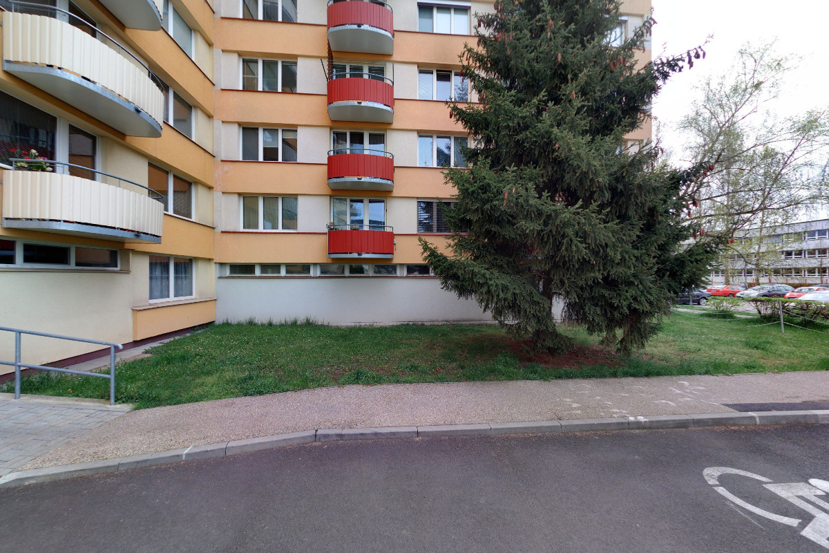 Lesnické práce Frederic Kryz foto 2