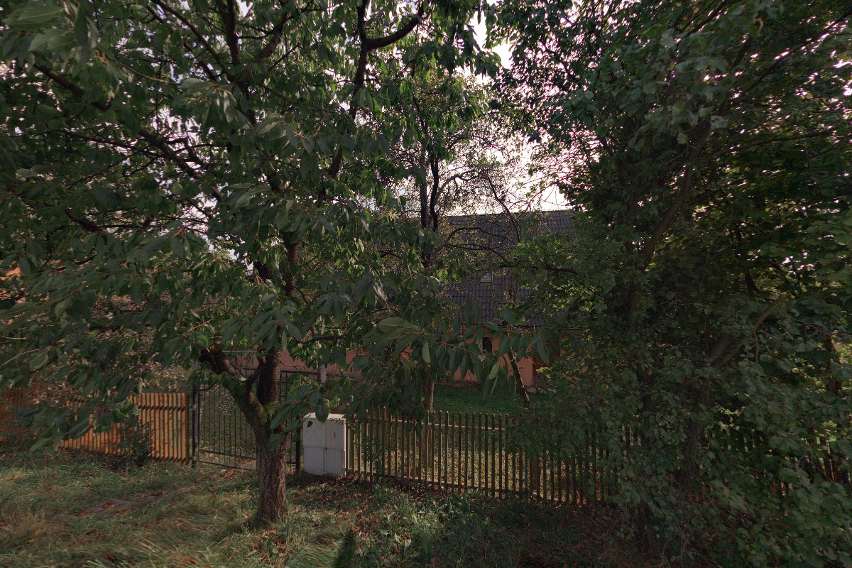 CAMPANULA půjčovna