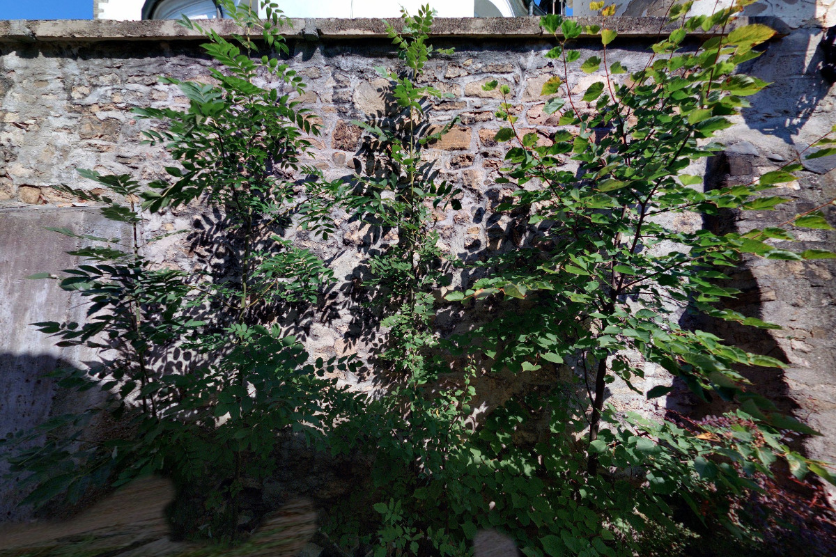 Římskokatolická farnost Příbor foto 2