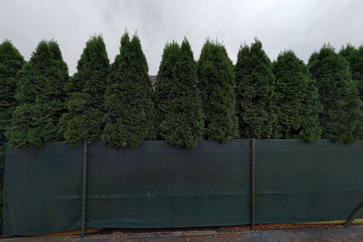 Tomáš Volný - sádrokartony