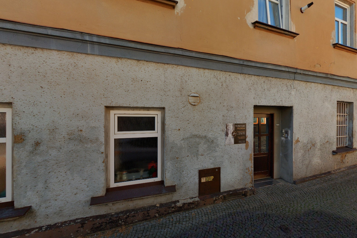 Jiřina Miseciusová - Řeznictví