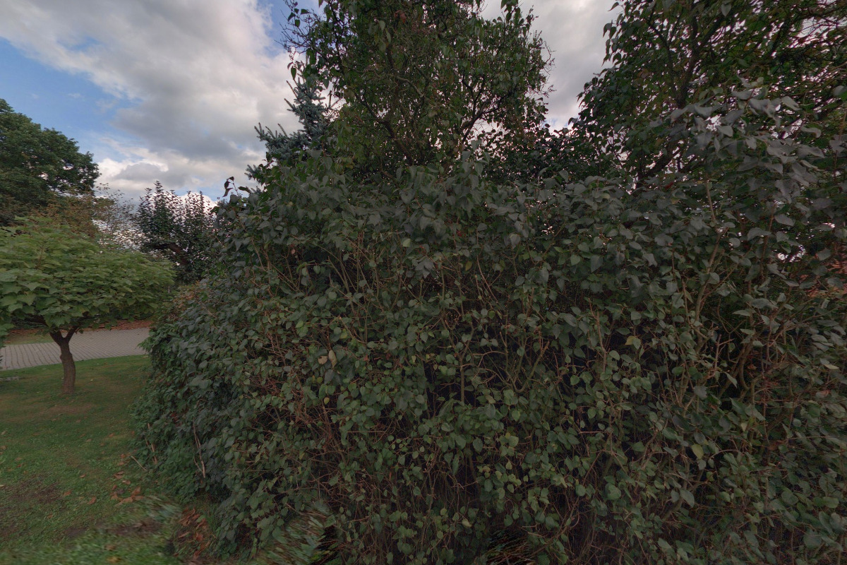 Kurzy Angličtiny - Nikola Stecová