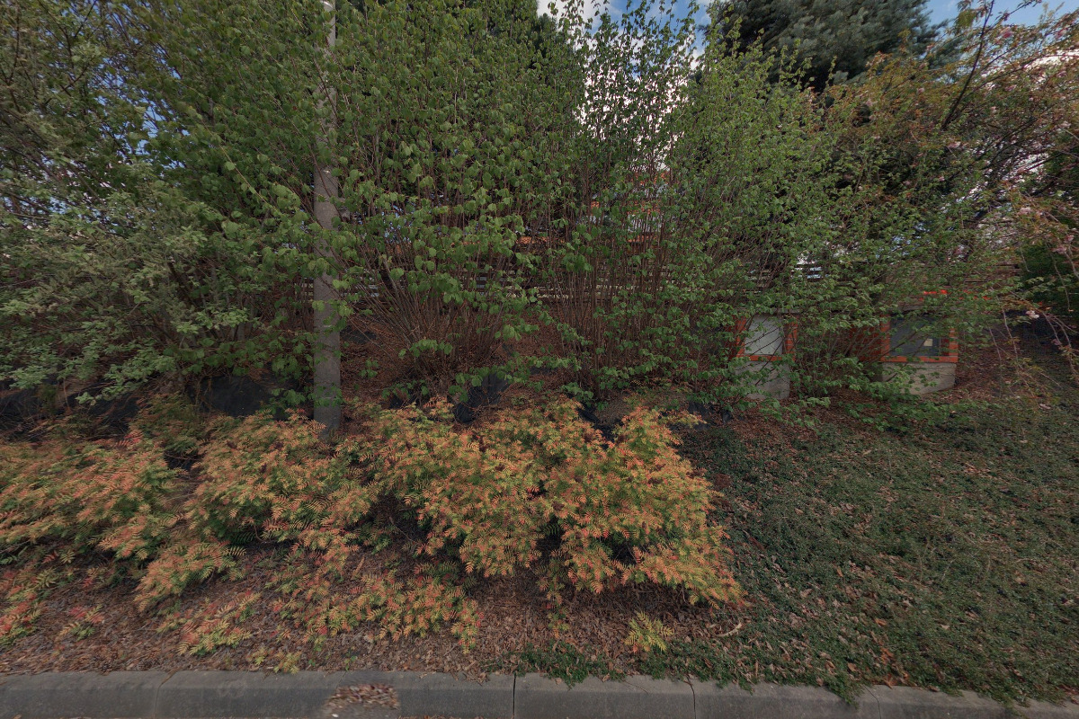 Markéta Kubesová Henklová foto 1