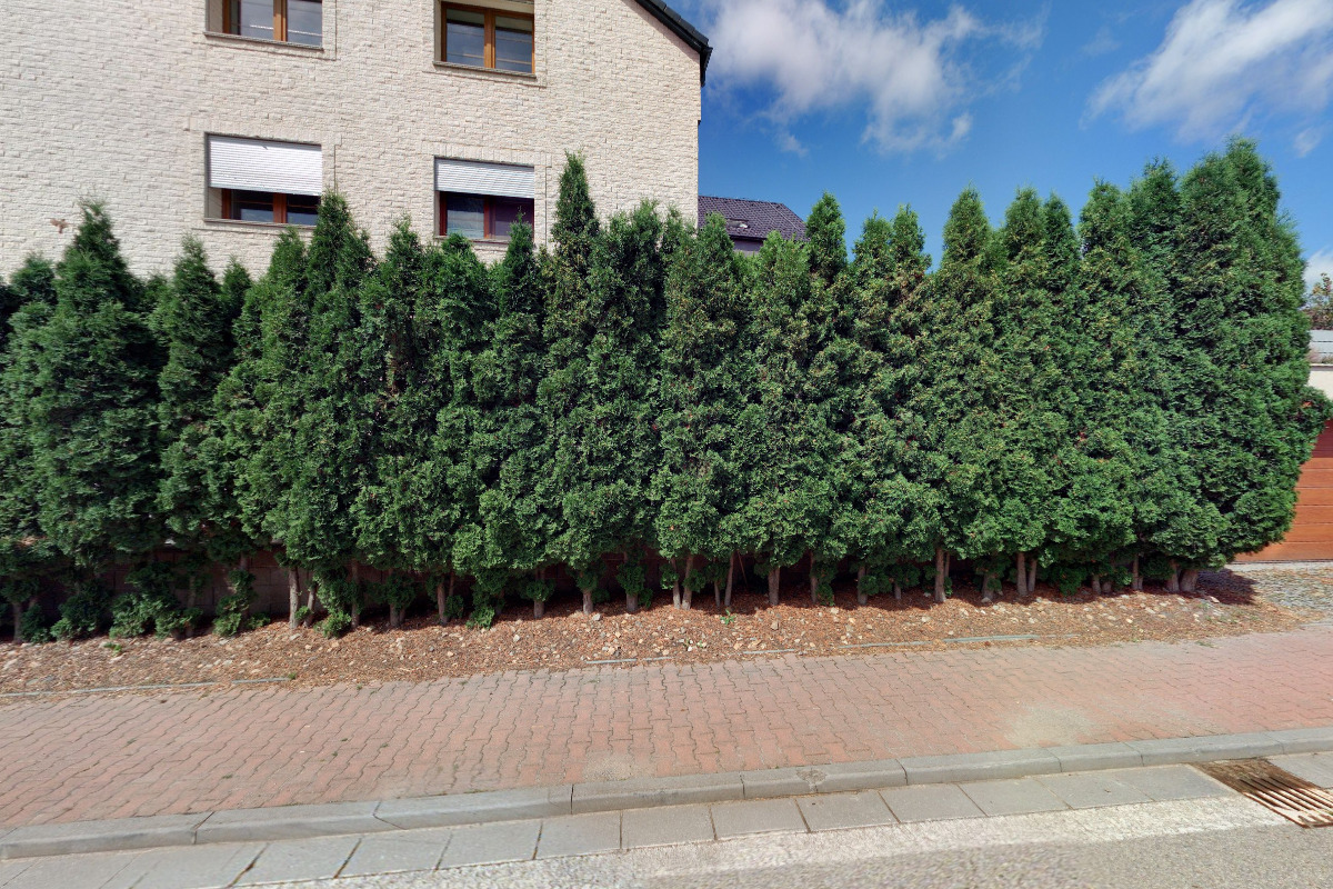 MUDr. Jaroslava Nováková