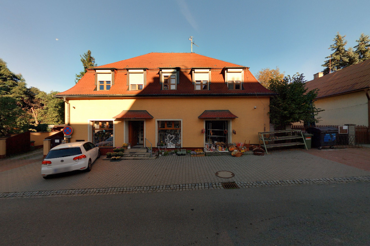 Květiny Pomněnka foto 2