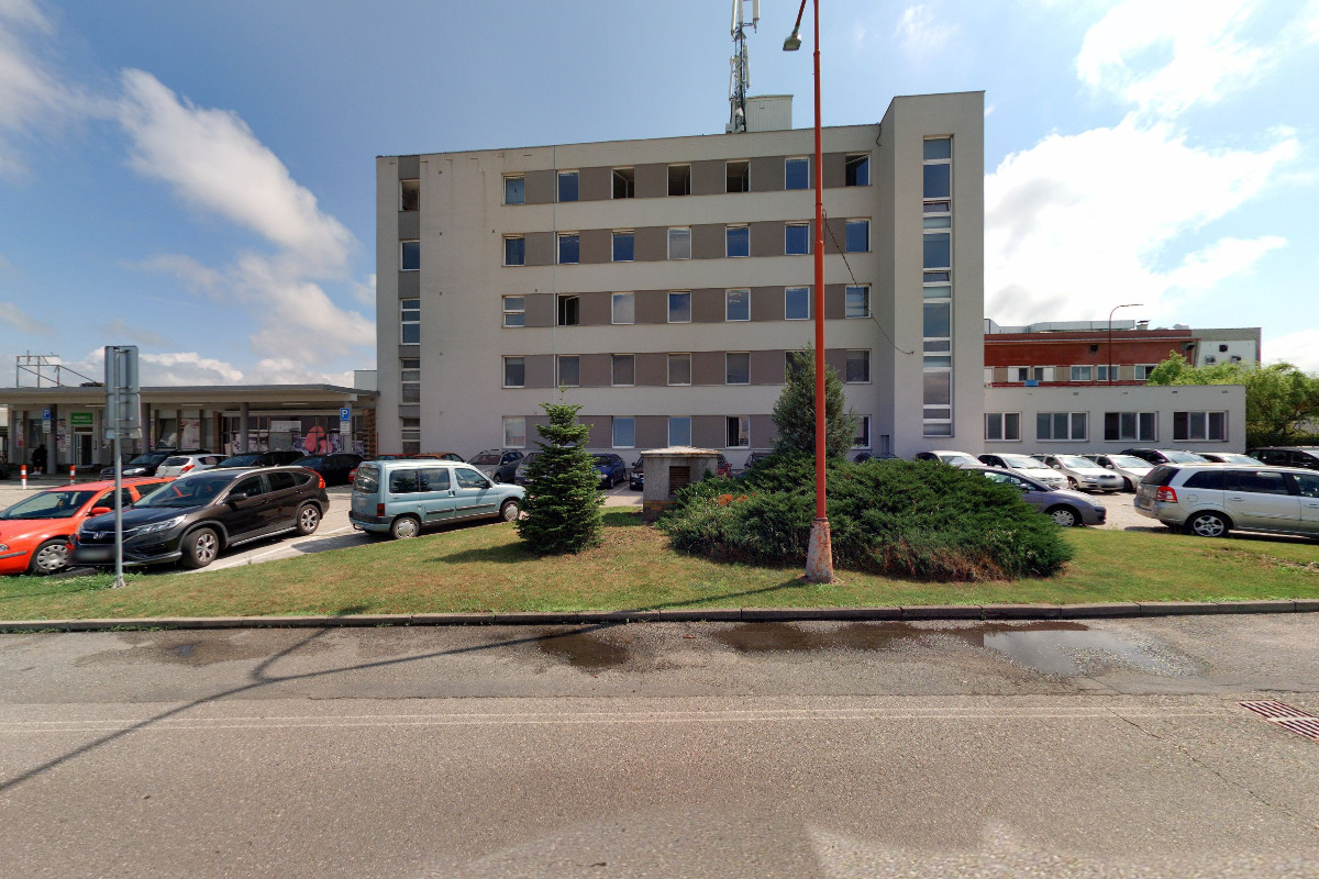 MVDr. Hana Sechovcová foto 2