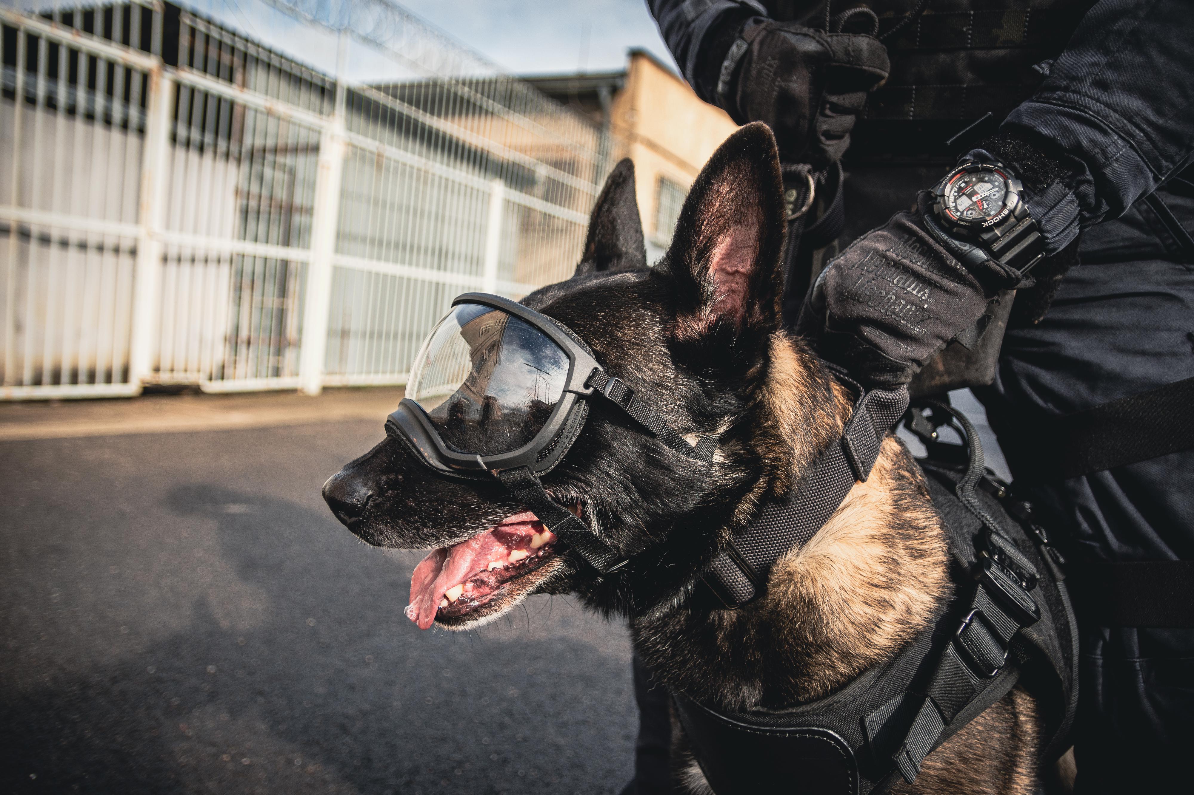 Vězeňská služba České republiky foto 4