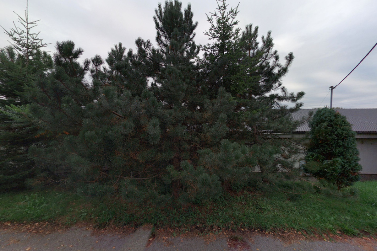 ORFA nábytek Orlová foto 5