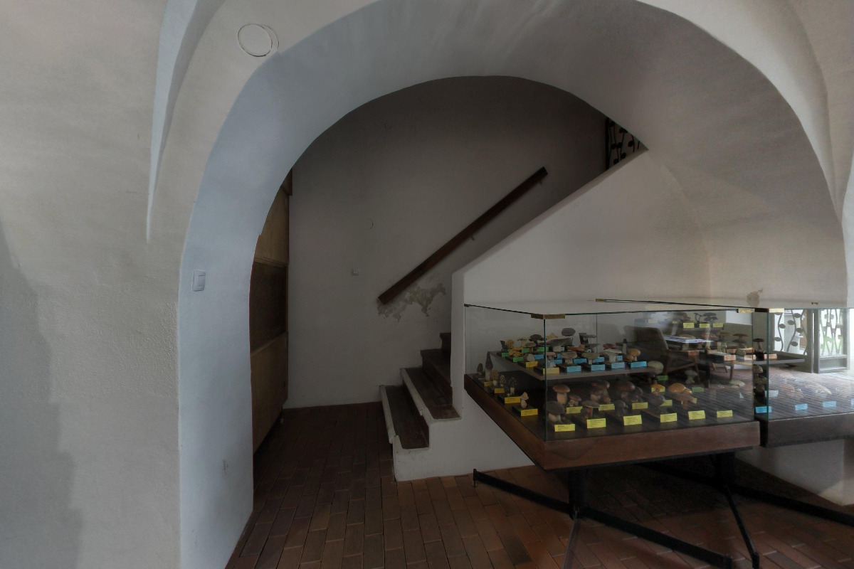 Miloslav Martinů -  Maroli