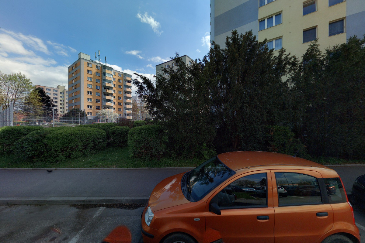 Stříhání psů Lenka Máchová foto 2