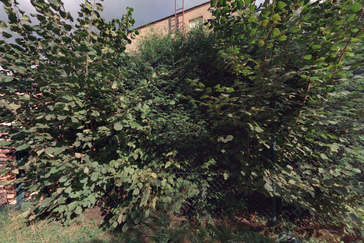 Stavební buňky - Ladislav Karol