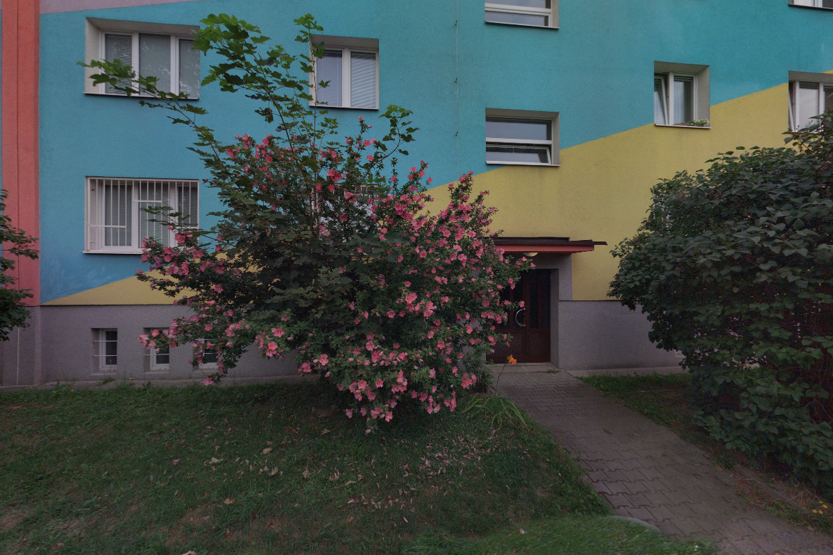 Jazyková Agentura Buddy foto 5