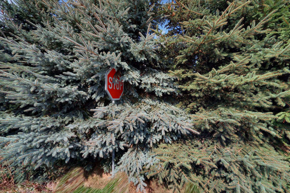 Chalupa Zábrodíčko - Zábrodí