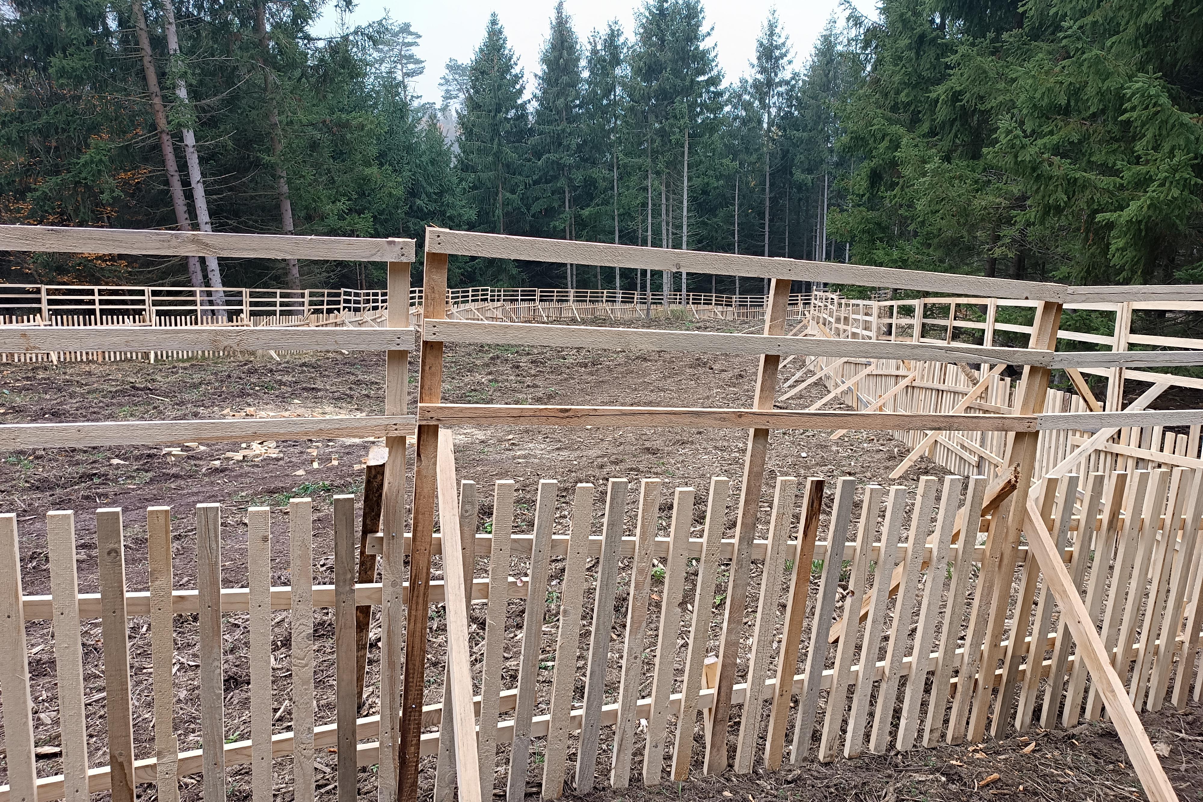 Práce v lesnictví Ondřej Bodocký foto 1