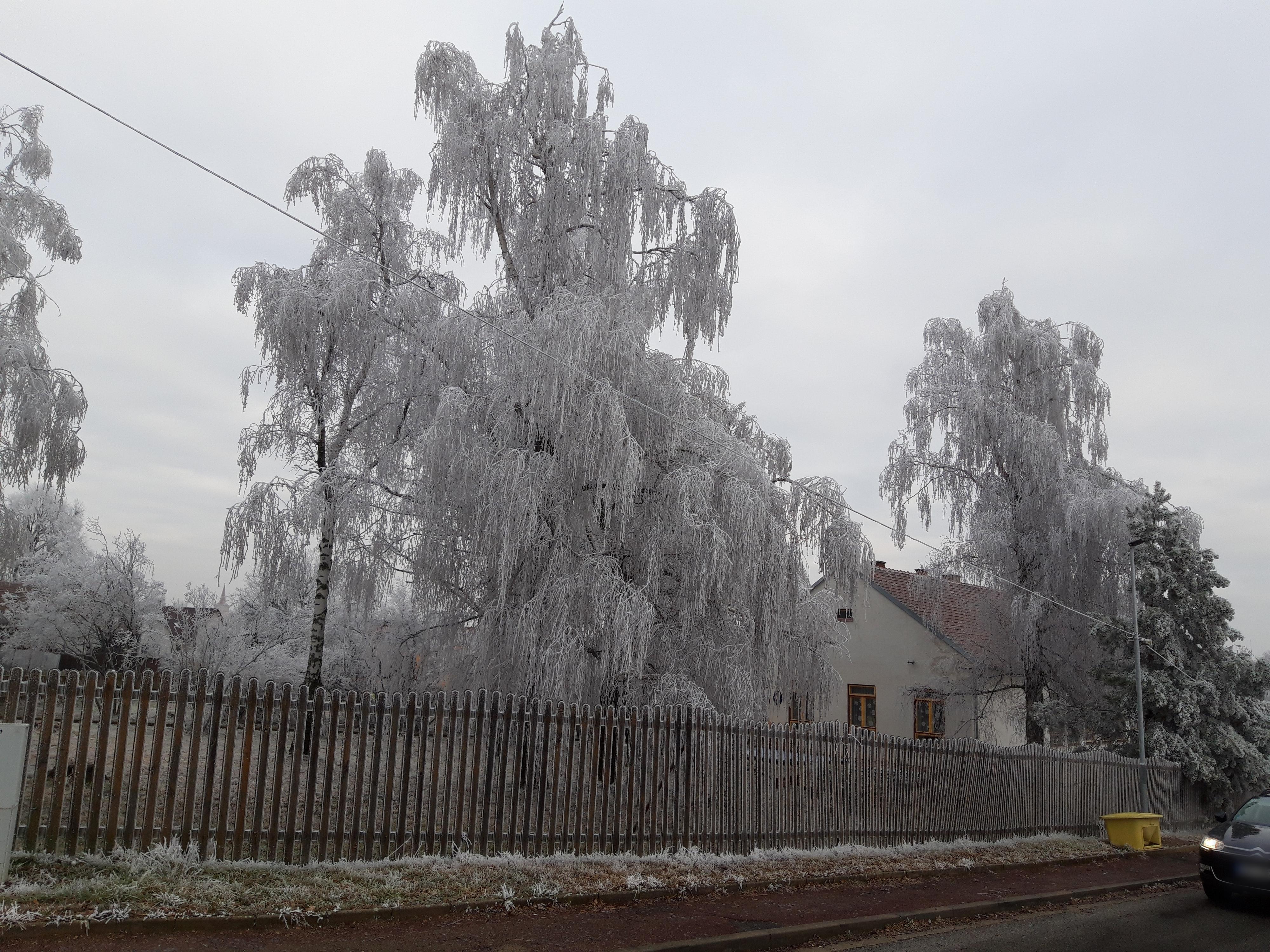 Základní škola a Mateřská škola, Domašov okres Brno - venkov foto 1
