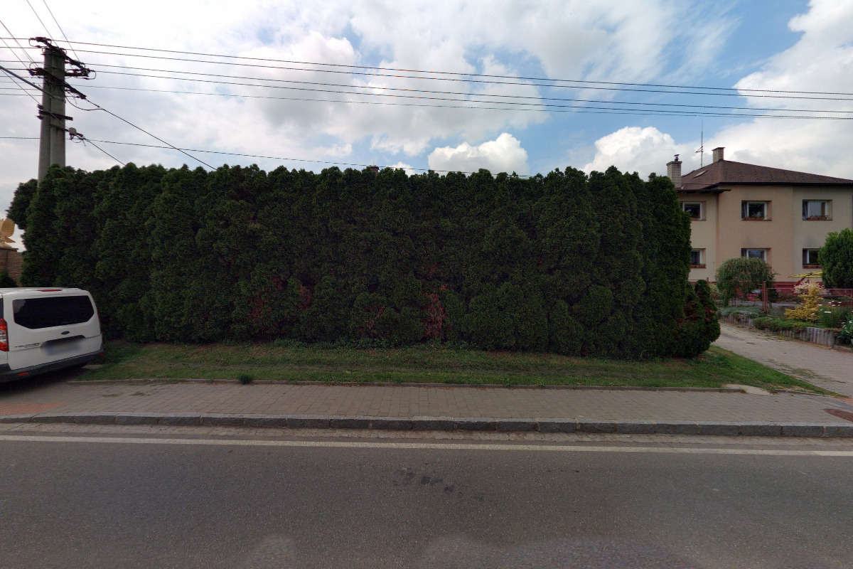 Abides - Renáta Ševčíková Guziková