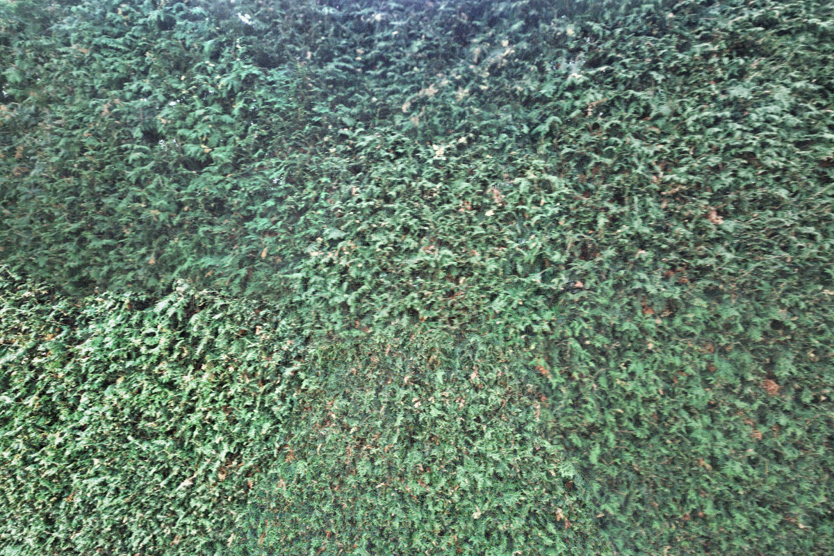 ZŠ a MŠ Palkovice 287