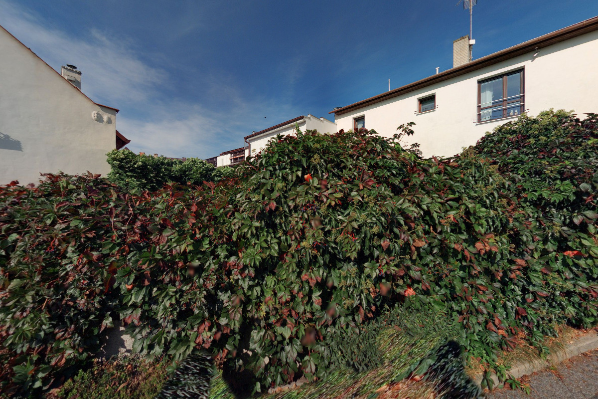 Daniela Suchá foto 4