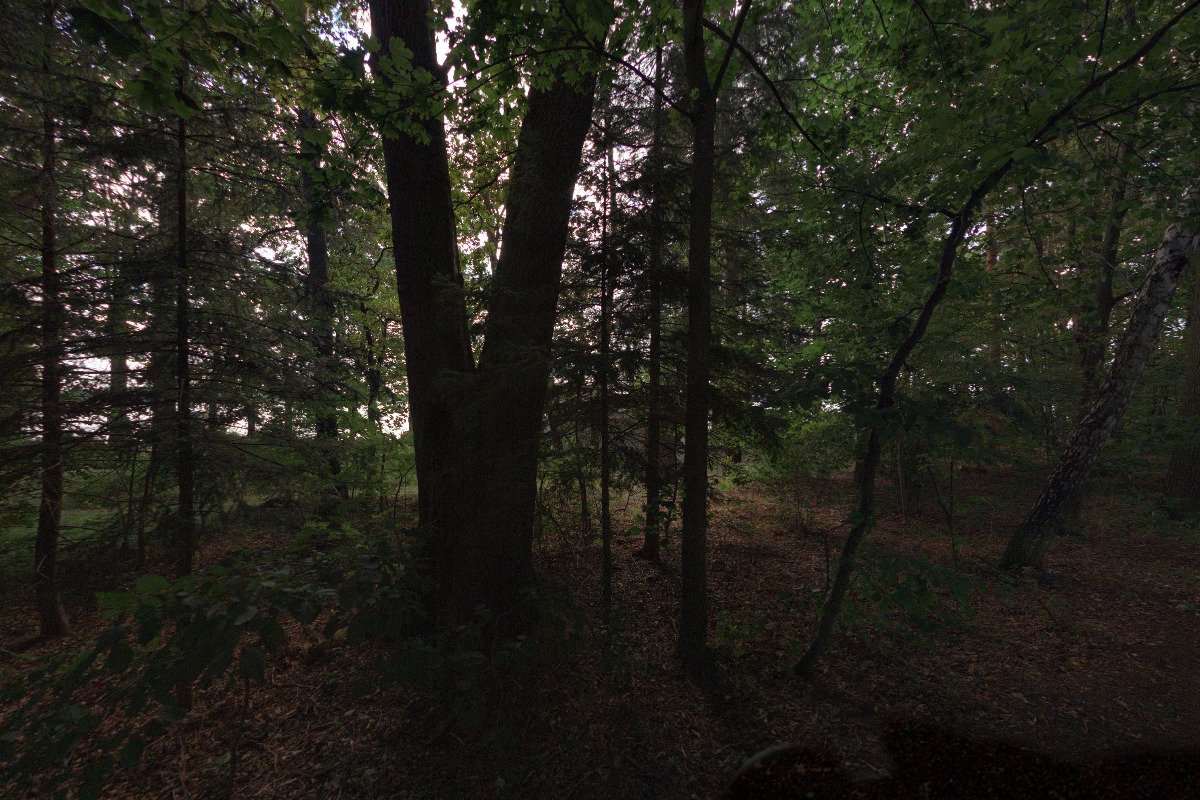 Chata u rybníka Dvořiště foto 1