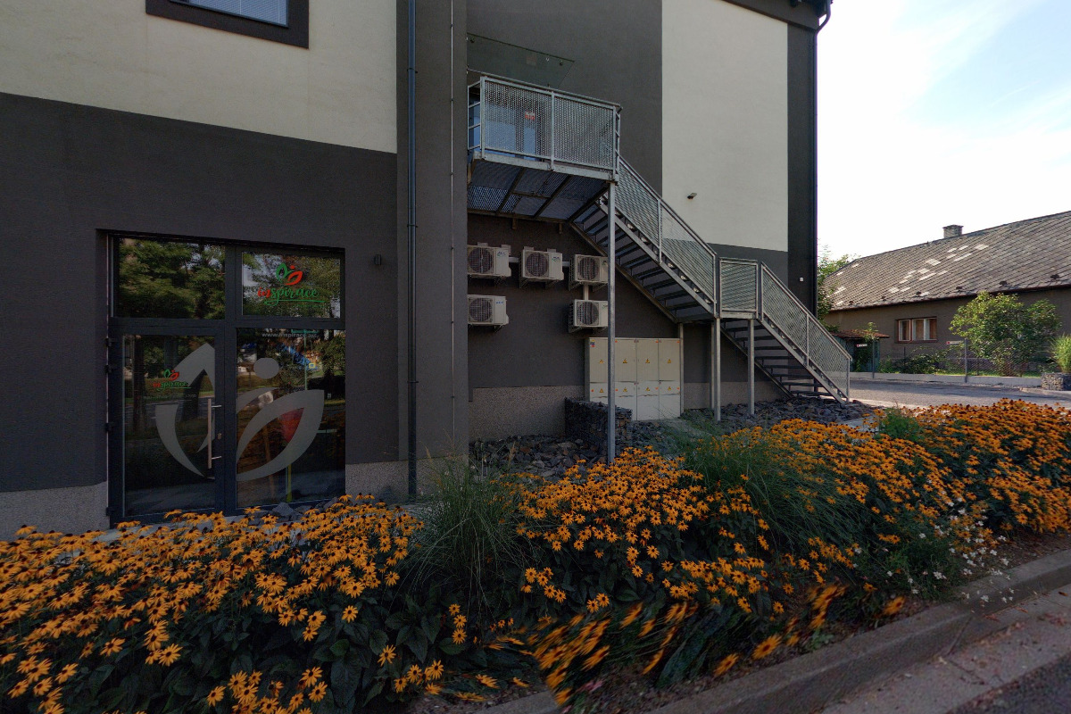 Lucie Špitalíková - Květiny pro Lásky foto 2