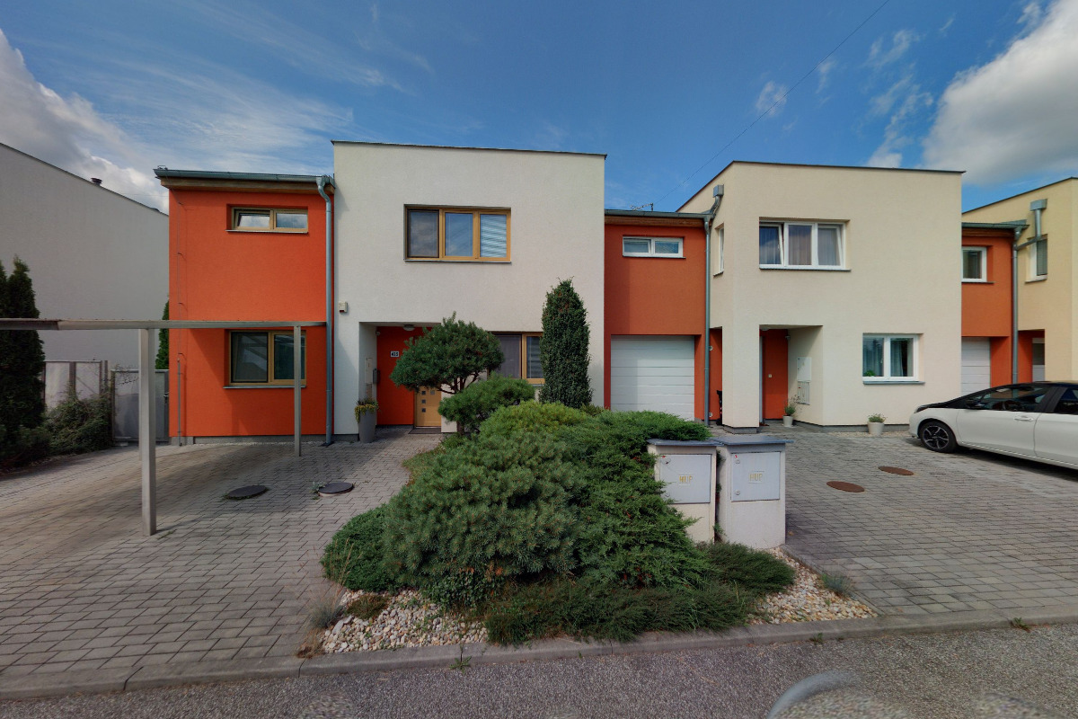 Richard Bulva - Rytectví