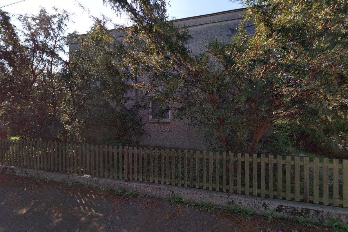 Společnost Sigmunda Freuda