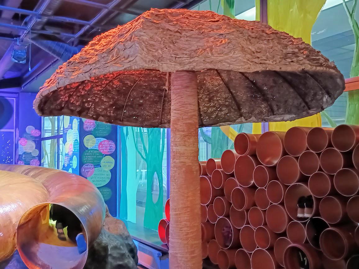 Galerie Minor foto 5