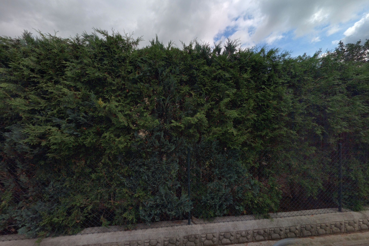 Ing. Daniel Vučenovič - geodetické práce