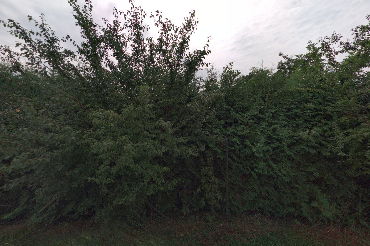 Miroslav Brož foto 2