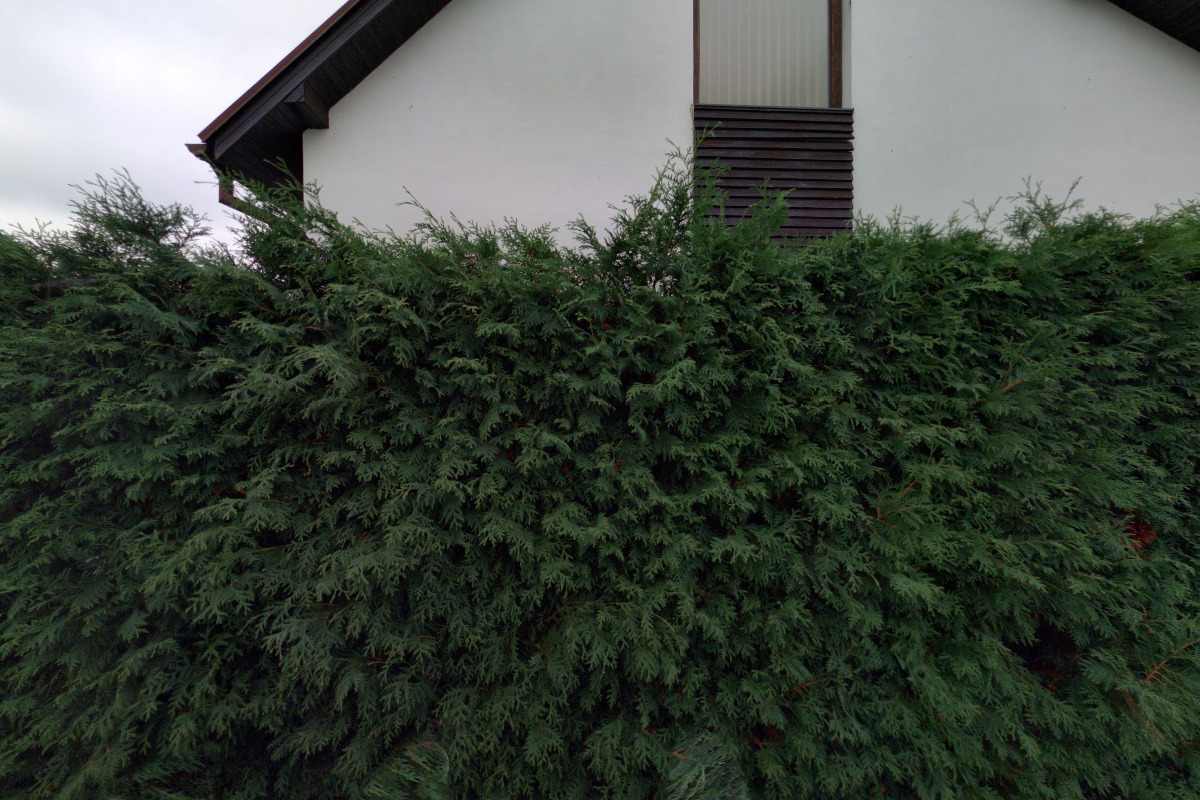 Miroslav Drs - prodej dřeva