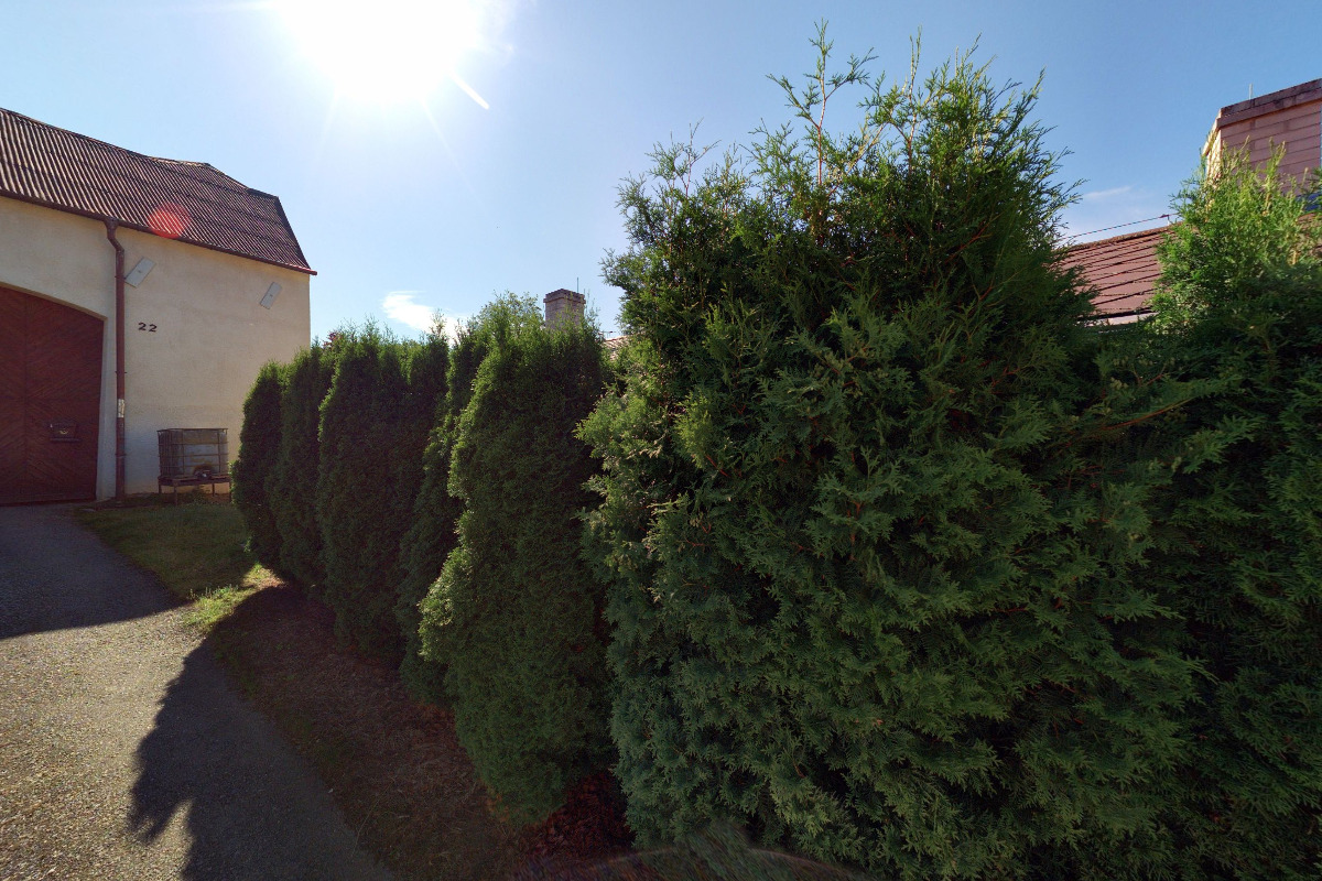 Obecní knihovna Borovany