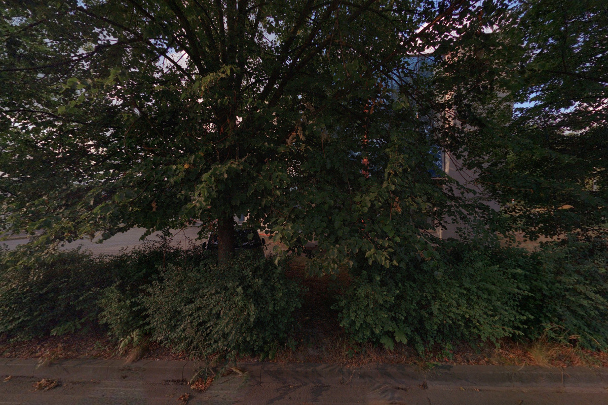 TREVIZO REAL, s.r.o. foto 2