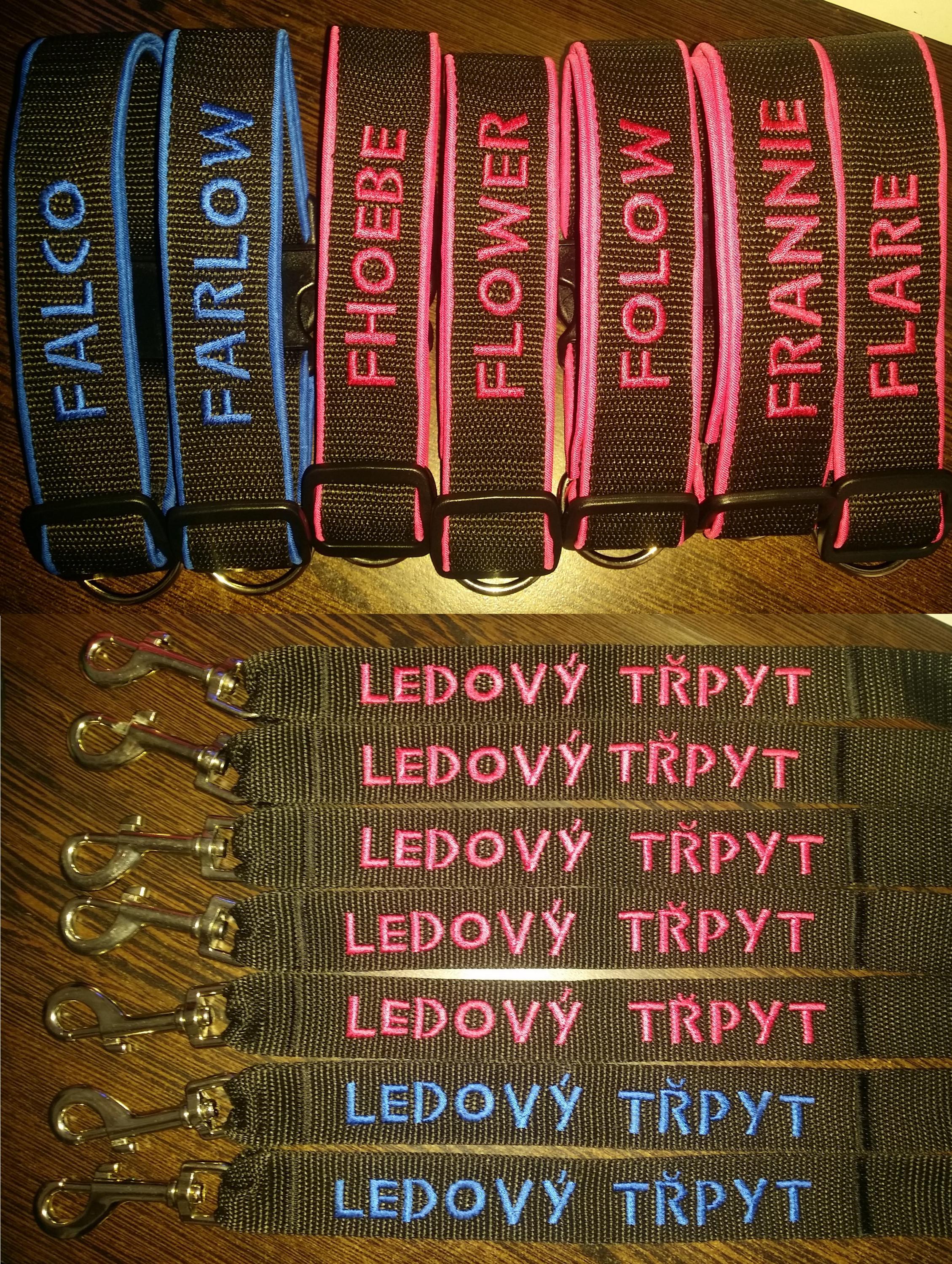 Obojky-voditka.cz foto 3