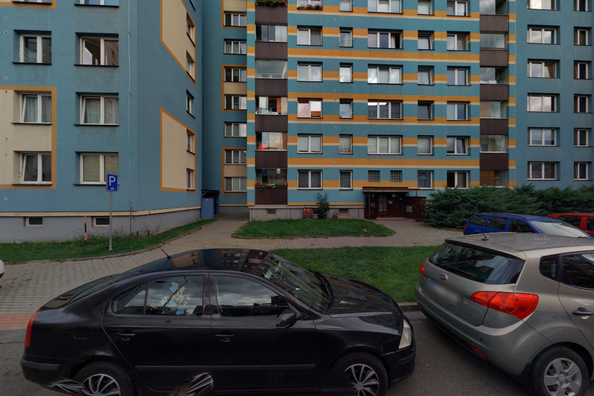 Karina Petříčková